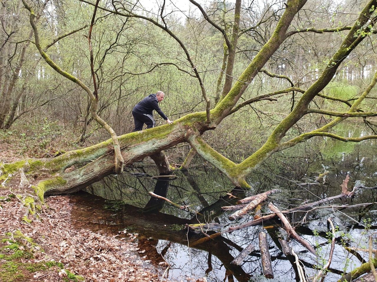 Avontuurlijke wandeling voor alle leeftijden bij TheGathering.be