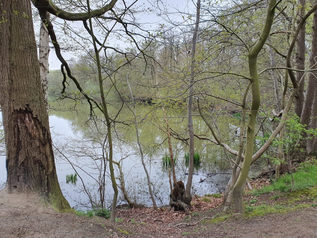 Avontuurlijke wandelzoektocht bij The Gathering